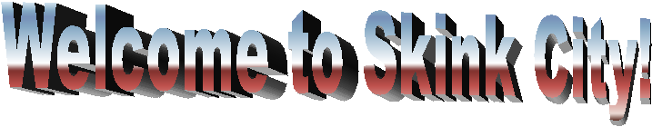 Welcome to Skink City!